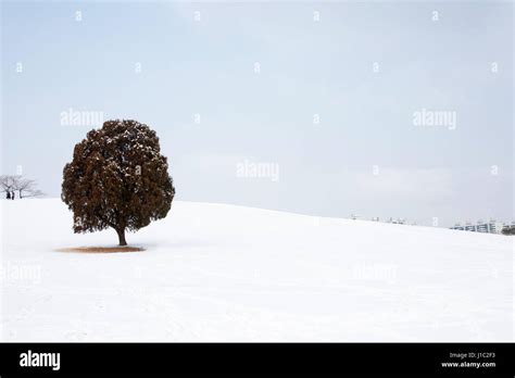 a wintry landscape Stock Photo - Alamy