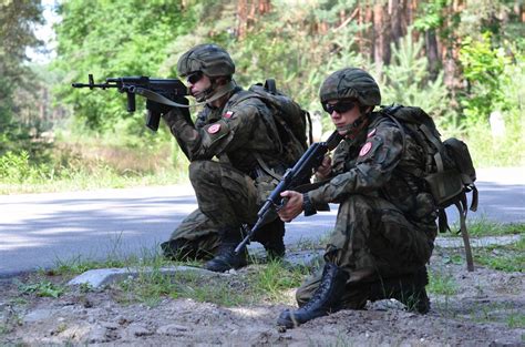 Polish, US soldiers participate in tactics training | Article | The United States Army