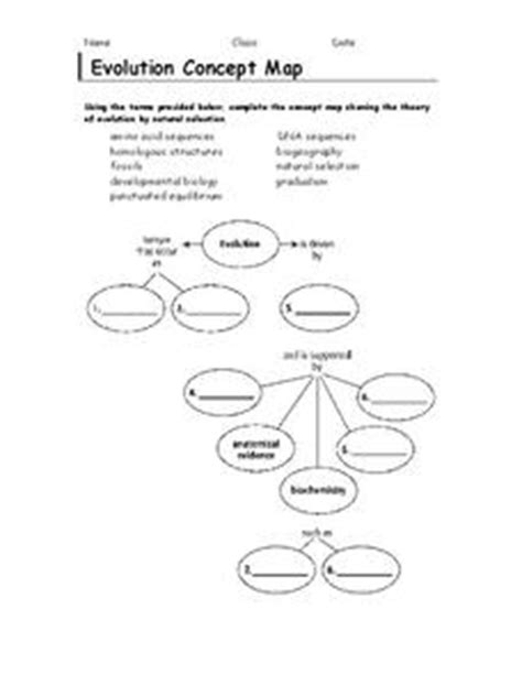 Evolution Concept Map Graphic Organizer for 6th - 9th Grade | Lesson Planet