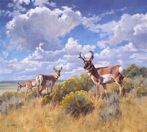 wyoming fall | Jim C. Norton Fine Art