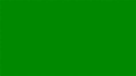 Green Screen Funny Zoom Backgrounds Vergamer - vrogue.co