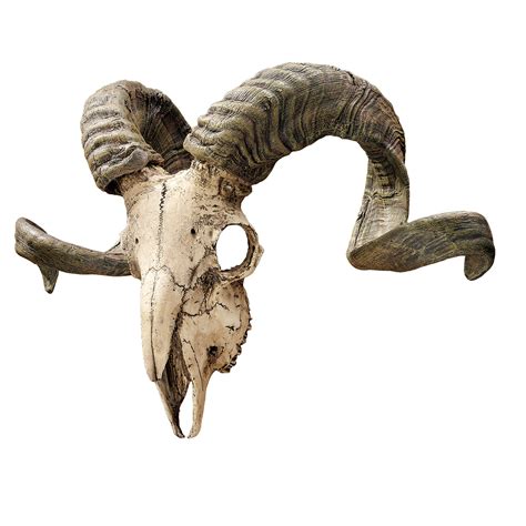 Buy Design Toscano Corsican Ram Skull and Horns Wall Sculpture Faux ...