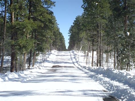 pinetop, az | Arizona vacation, Beautiful winter scenes, Pinetop arizona