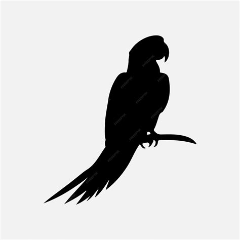 Premium Vector | Vector parrot silhouette graceful birds in captivating forms