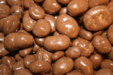 MILK CHOCOLATE COVERED RAISINS, 2LB - FREE SHIPPING - Chocolate Sweets & Assortments