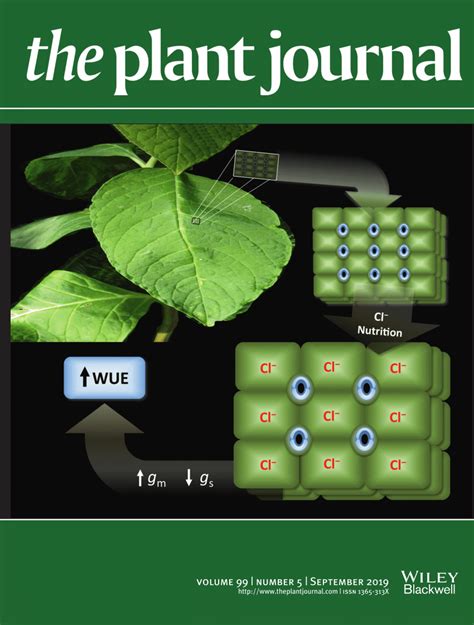 (PDF) Cover of The Plant Journal 99(5), 2019.