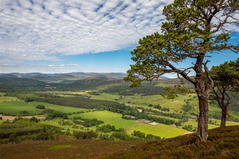 Abergeldie Estate In The Highlands Goes On Sale For The First Time In 500 Years