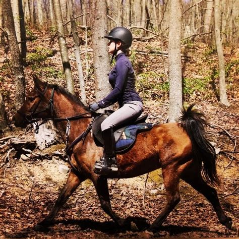 How Endurance Riding Healed Me | Equestrian Adventuresses™ | Riding ...