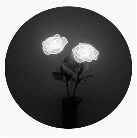 Tumblr Aesthetic Black Roses Rose - Aesthetic Black Flowers, HD Png Download , Transparent Png ...