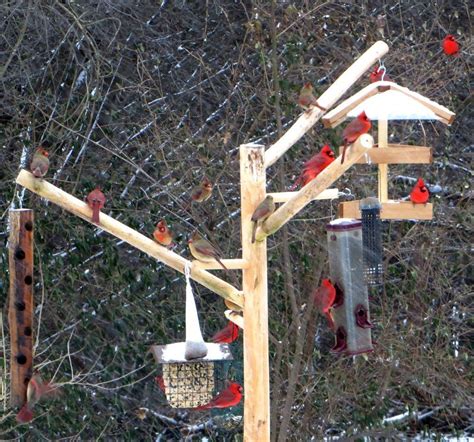 Our natural wood bird feeder poles are decorative, strong, and sturdy ...