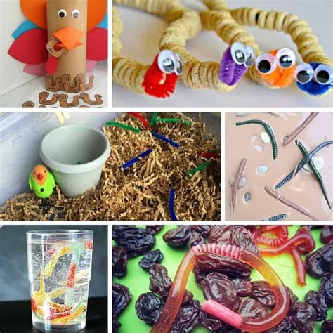 Worm Theme for Tot School and Preschool