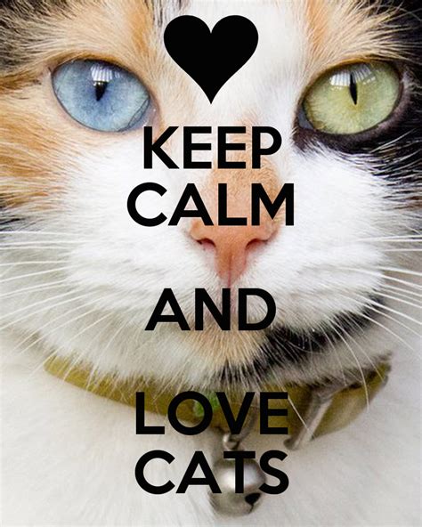 Keep Calm And Love Cats - Viewing Gallery