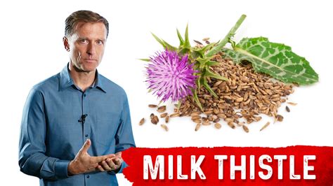 Milk Thistle The Amazing Herb for Your Liver| Dr. Berg