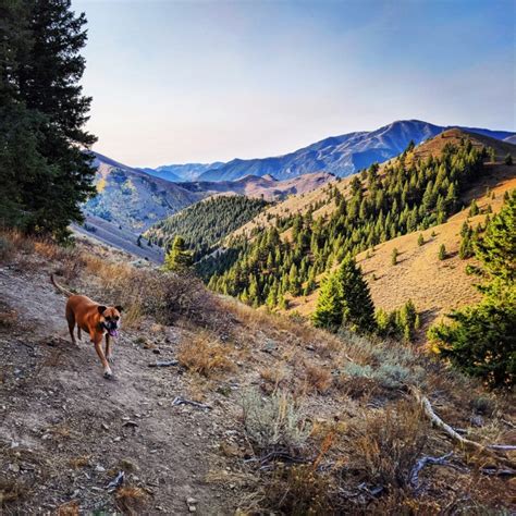 Two days in Ketchum, ID | AirstreamDog