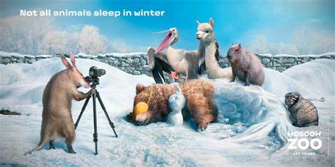 Moscow Zoo: Not All Animals Sleep in Winter • Ads of the World™ | Part ...