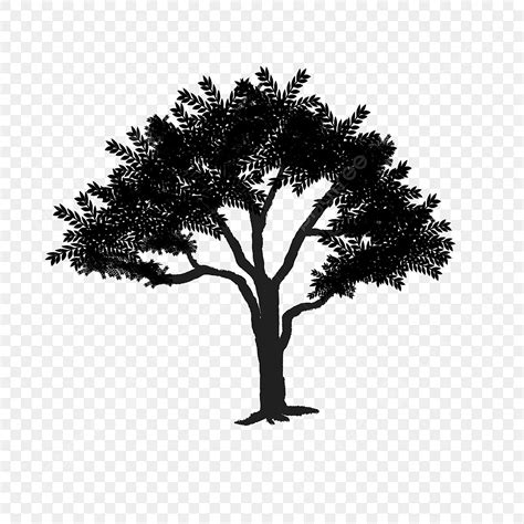 Palm Tree Shadow Vector Hd Images, Tree Shadow Png, Tree, Shadow, Png ...