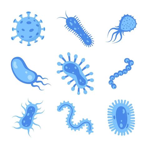 diferentes bacterias, microorganismos patógenos, conjunto. bacterias y gérmenes, microorganismos ...