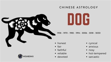 Chinese Astrology and the 12 Chinese Zodiac Signs