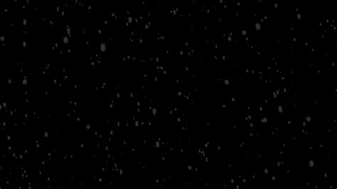 Snow Falling Loop Stock Video Footage for Free Download