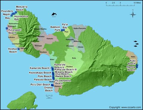 Maui Surf Beaches | Maui Surf Areas