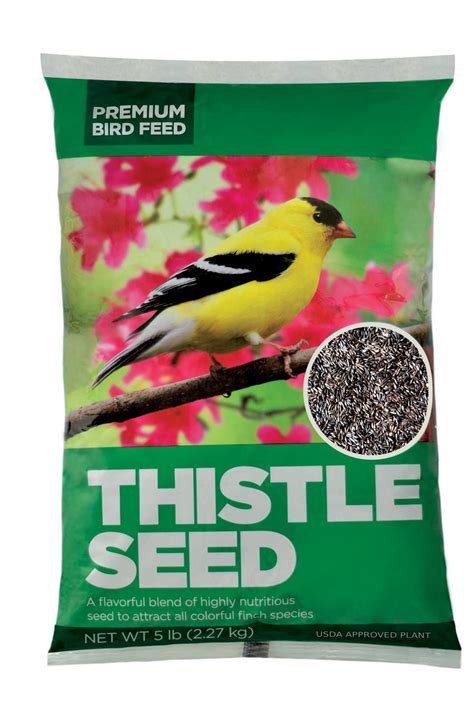 Premium Thistle Seed Wild Bird Feed, 5lbs - Walmart.com