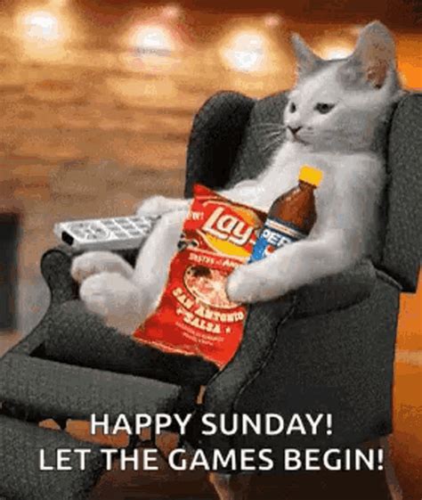 Happy Sunday Lazy Cat GIF - HappySunday LazyCat Lays - Discover & Share ...