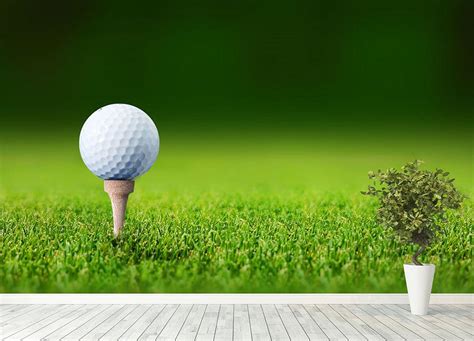 Close up golf ball Wall Mural Wallpaper | Canvas Art Rocks