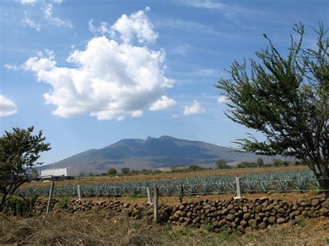 Volcán de Tequila en Jalisco Mexico