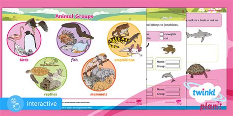 Interactive PDF: Science: Year 1: Animal Groups - Twinkl