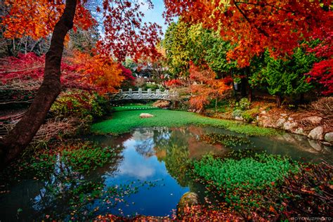 An Autumn Afternoon on Mireuk Island – Tongyeong, South Korea Travelog – Roy Cruz Photo