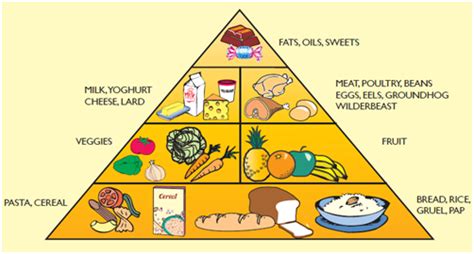 Balanced Diet Information Sheet | Children for Health