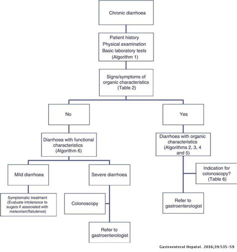 Chronic diarrhoea: Definition, classification and diagnosis ...