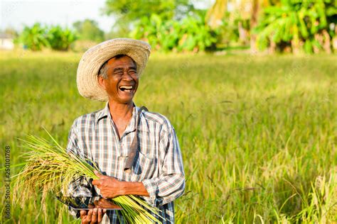 Happy farmers on his farm An Asian farmer who smiles happily, standing ...