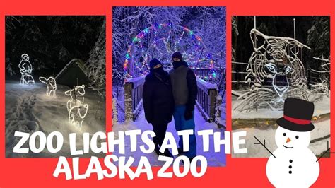 Checking out Zoo Lights at the Alaska Zoo - Winter Holiday Fun ...