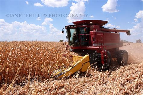 A Farm Wife's Life: Corn Harvest 2012