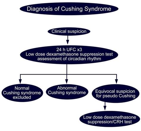 Iatrogenic Cushing Syndrome: Background, Frequency, Mortality/Morbidity | Hormones | Pinterest