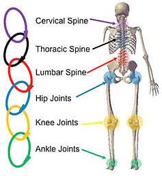 Condition the Kinetic Chain, Not the Segment, to Restore Function