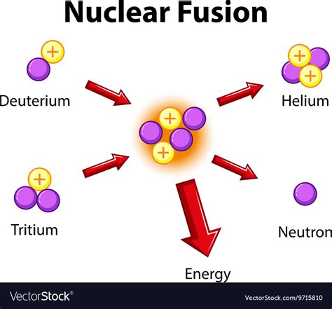 Diagram showing nuclear fusion Royalty Free Vector Image