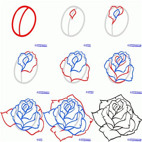 How to draw a rose step by step | Roses drawing, Flower drawing tutorials, Rose drawing