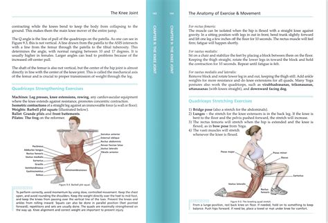 The anatomy of exercise – Artofit