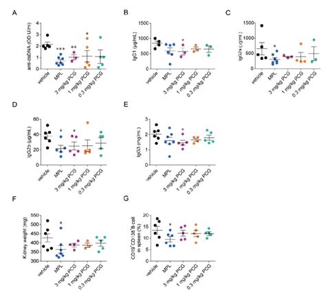 PCG reduces the levels of anti-dsDNA, pathogenic IgG subclasses, and ...