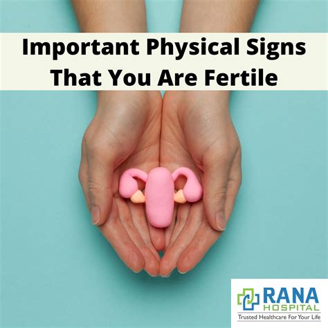 Important Physical Signs That You Are Fertile