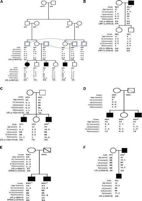 Frontiers | The Genetic Spectrum of Familial Hypertriglyceridemia in Oman