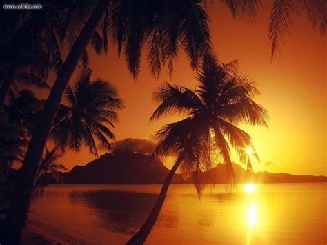 Bora Bora Sunset Wallpapers - Top Free Bora Bora Sunset Backgrounds - WallpaperAccess