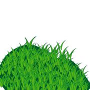 Grass Texture Transparent - PNG All | PNG All