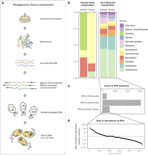 Frontiers | Current and future resources for functional metagenomics | Microbiology