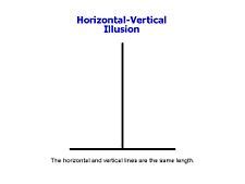 AP Psychology Pd 3 Rhodes: Visual Illusions