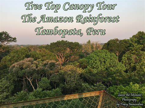 The Canopy Tower in Tambopata National Reserve, Peru | Amazon ...