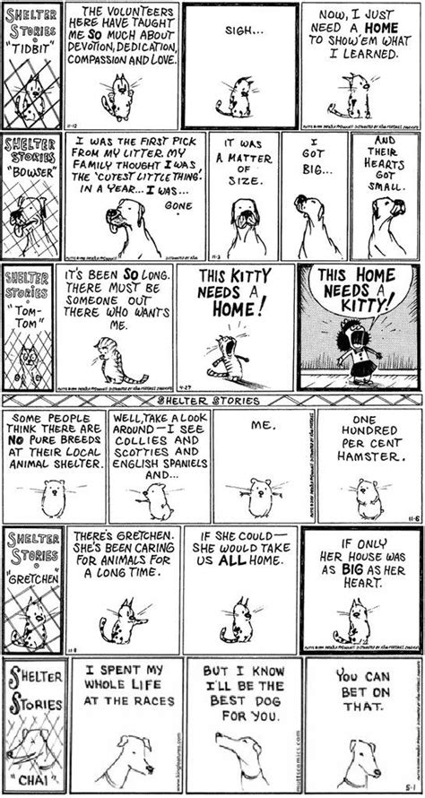 Mutts Comics- Shelter Stories | Mutts comics, Mutt, Cat comics