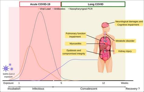 Disease course of COVID-19 | Download Scientific Diagram